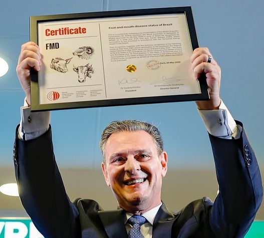carlosfavaro