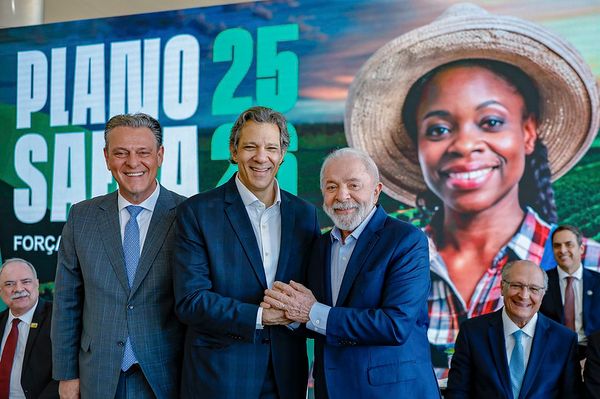 lulafavaro