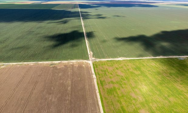 BrasilAgro vende parte de fazenda na Bahia por R$ 364,5 milhões