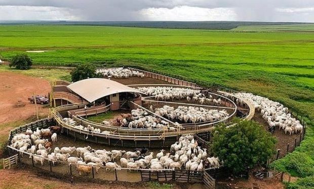 Fazenda Roncador e propriedades famosas viram anúncios falsos na internet