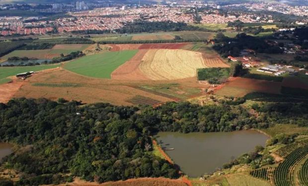 Produtores de café, academia e entidades lançam manifesto contra venda da Fazenda Santa Elisa