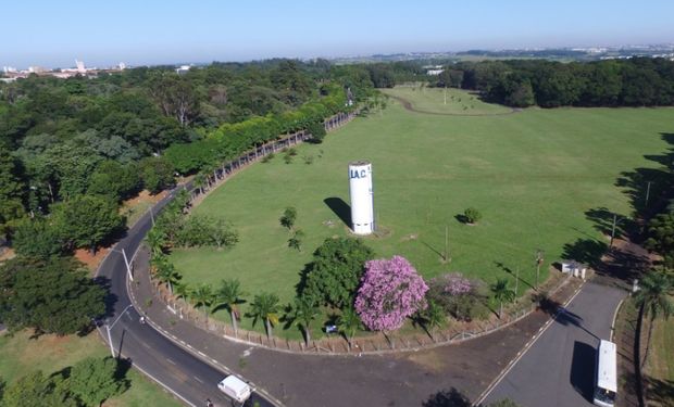 Governo de SP planeja vender fazenda com maior banco genético de cafés do mundo