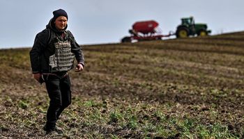 Colheita à prova de balas: ucranianos colherão 16% do trigo em áreas ocupadas pela Rússia
