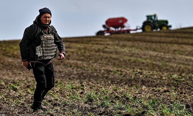 Colheita à prova de balas: ucranianos colherão 16% do trigo em áreas ocupadas pela Rússia