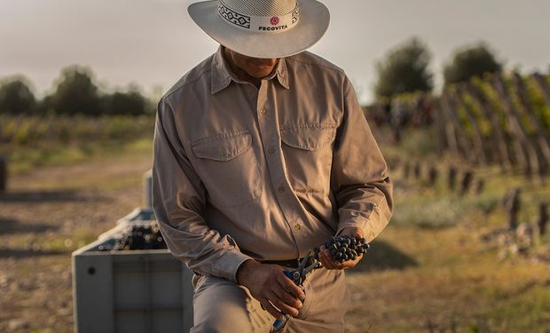 "¡Muy raro!": la cooperativa argentina de 5000 productores que enfrenta un pedido de quiebra de una empresa de capitales españoles