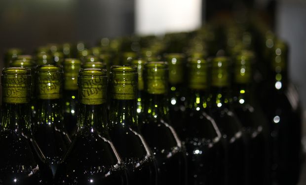 Desde Fecovita aseguraron que cada una de estas líneas de vinos apuntan a públicos muy específicos