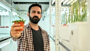 Revolución agrícola: encontraron la forma de "comunicarse" con las plantas y ganaron un millón de euros para escalar el proyecto