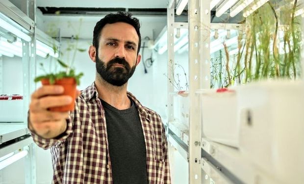 Revolución agrícola: encontraron la forma de "comunicarse" con las plantas y ganaron un millón de euros para escalar el proyecto