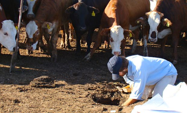 Feedlot: el exitoso sistema de tratamiento de efluentes que diseñaron profesionales argentinos