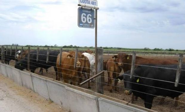 Hay 27 feedlots locales que lograron completar el ciclo de producción.