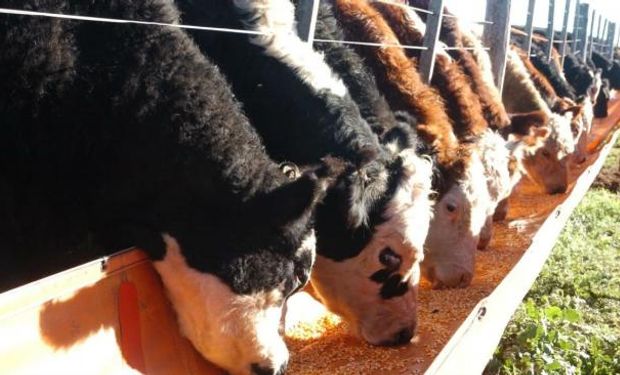 Además, el tipo de cambio actual arroja números cercanos al rojo para el negocio. Foto: La Voz