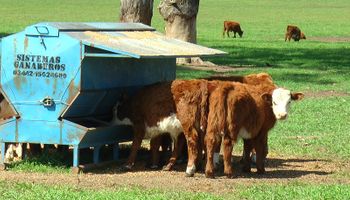 Argentina podría aumentar un 50% su producción de proteína animal y en este encuentro se discutirá cómo hacerlo: “El 2026 puede ser el año si sabemos aprovecharlo”