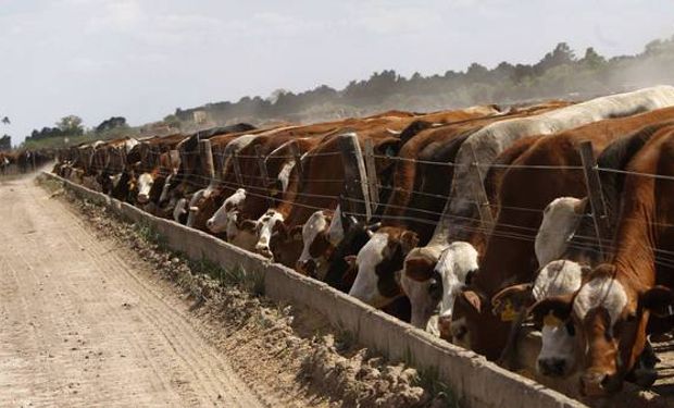 Las negociaciones para no perder la cuota 481.