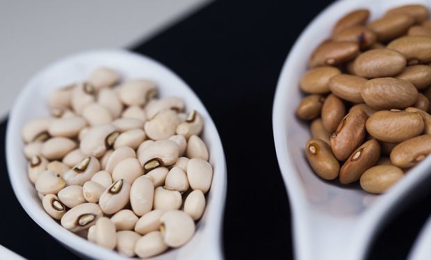 Brasil abre mercado e passa a exportar feijão para quatro novos países