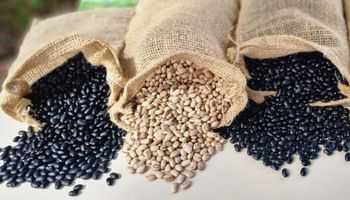Kicaldo compra plantas industriais e marca Rosalito por R$ 35,2 milhões em leilão 