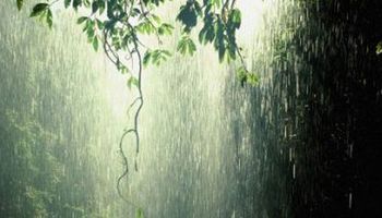 Tendencia climática: es Niño, afirman
