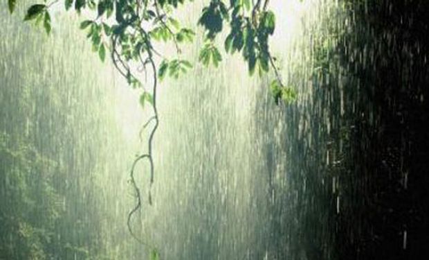 El Servicio Meteorológico Nacional (SMN) prevé precipitaciones con valores superiores a lo normal.