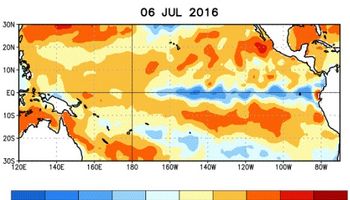 ¿"La Niña" entre agosto y octubre?