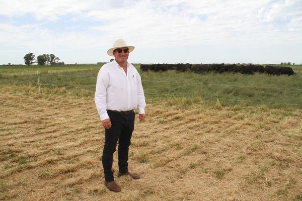 fernando briones en un campo de tres arroyos