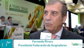 La esperanza para el trigo: el cambio de Gobierno