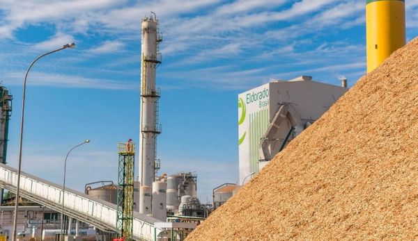 ferrovias-centro-oeste-investimentos-bndes-agro-eldorado