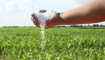Por qué se fertiliza mal y se desperdician 40 millones de toneladas de granos: la respuesta de un especialista para revertir la ecuación