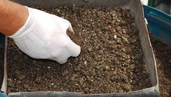 Cómo realizar un muestreo de suelo, clave para la planificación de la fertilización