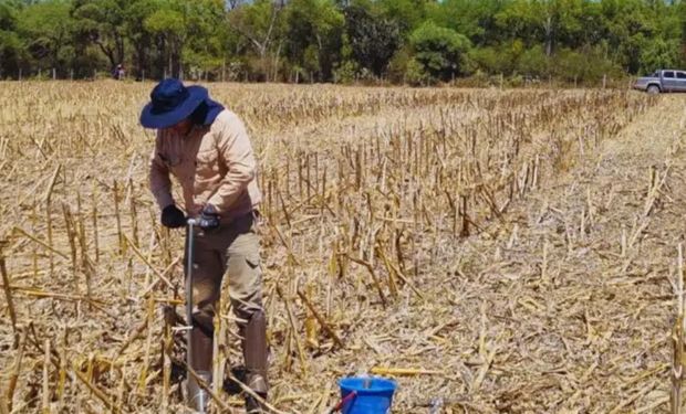 Fertilidad 2025: cuándo es el encuentro cumbre de la nutrición y el cuidado del suelo