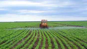 Advierten que caen los alquileres de campos
