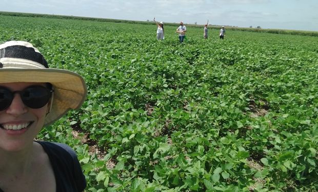 Soja: un grupo de científicos argentinos mejoró la fijación de nitrógeno con un método físico