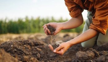 “Queremos ampliar comércio de fertilizantes com países árabes”, diz Fávaro