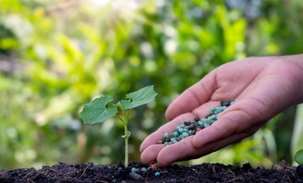 Mato Grosso, líder nas entregas nacional de fertilizantes, concentrou o maior volume nos primeiros sete meses deste ano