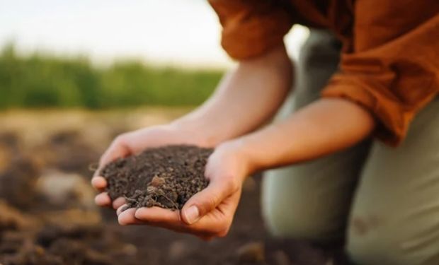 Fertilizantes deverão repetir safra passada, prevê ANDA