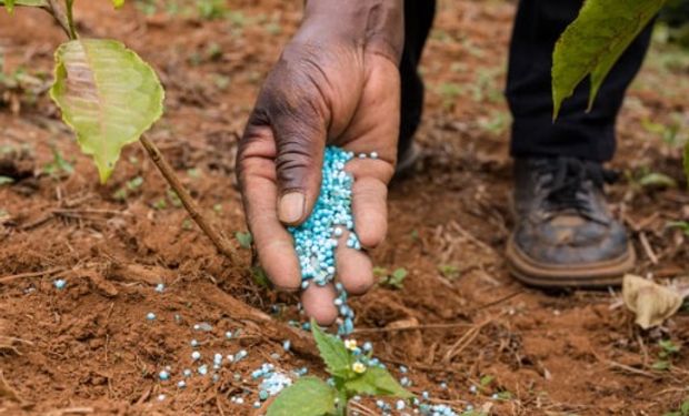 Projeto para impulsionar indústria de fertilizantes é aprovado no Senado