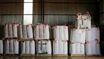 La urea superó los US$ 900 y con el trigo se compra un 70% menos que hace un año: por qué no se espera que baje pronto