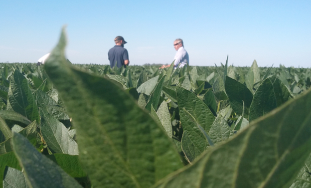 La empresa argentina de fertilizantes de alta tecnología que impulsa una nueva agricultura