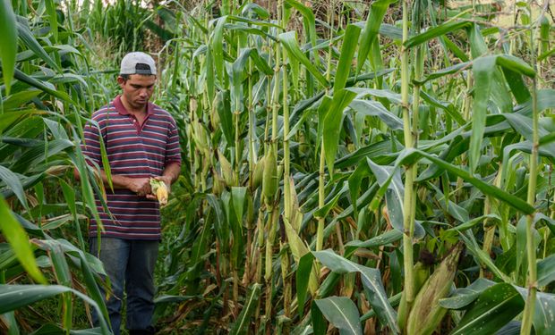 Governo Federal lança Plano Nacional de Fertilizantes para reduzir importação dos insumos