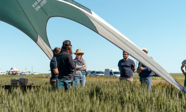 La empresa de productores y profesionales del agro que vende dos innovadores insumos líquidos: "Siempre la respuesta en el margen neto al bolsillo es positiva”