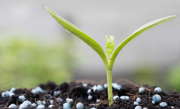 O caminho para produzir alimentos de forma sustentável está na fertilização