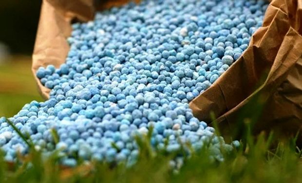 Fertilizantes: importante directivo de Profertil describió las particularidades del mercado argentino