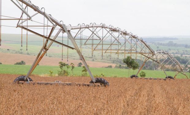 Rússia promete comércio de fertilizantes ao Brasil