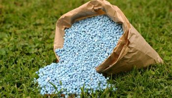 Hoy se celebra el Día Mundial de los Fertilizantes