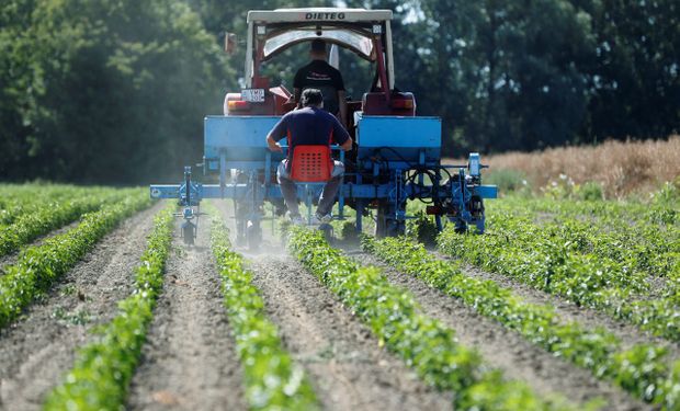 Rabobank: apesar de margem apertada, Brasil deve ter recorde de uso de fertilizantes em 2025