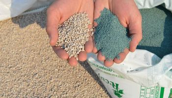 Nube nutricional y nanopartículas: cómo funciona el fertilizante diseñado para semilla que maximiza la superficie de contacto
