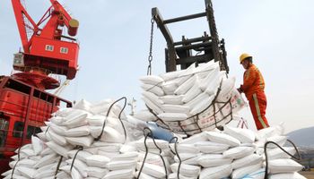 ¿Nos tenemos que acostumbrar a estos precios de urea y MAP? Así impacta la guerra en el mercado de fertilizantes y en el campo argentino