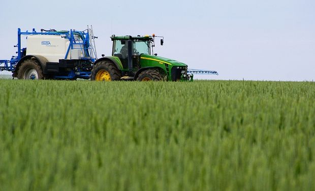 Créditos para insumos en el cultivo de trigo