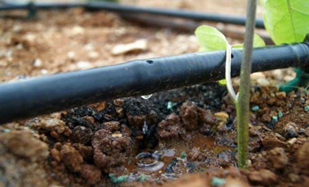 El fertirriego es la práctica de aplicar fertilizantes a los cultivos junto con el agua de riego
