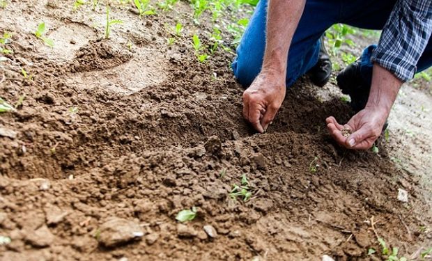 Qué pasa con los residuales de los fertilizantes en tiempos de sequía