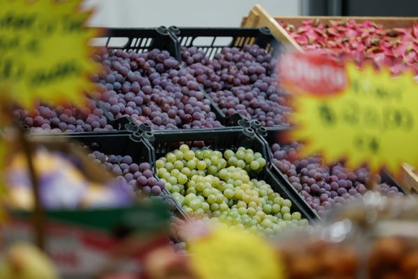 mercado