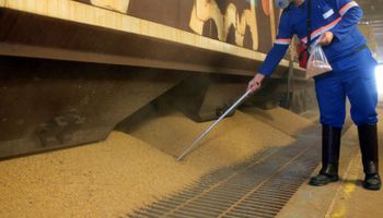 El mercado de granos espera nuevas compras de soja de China a Estados Unidos